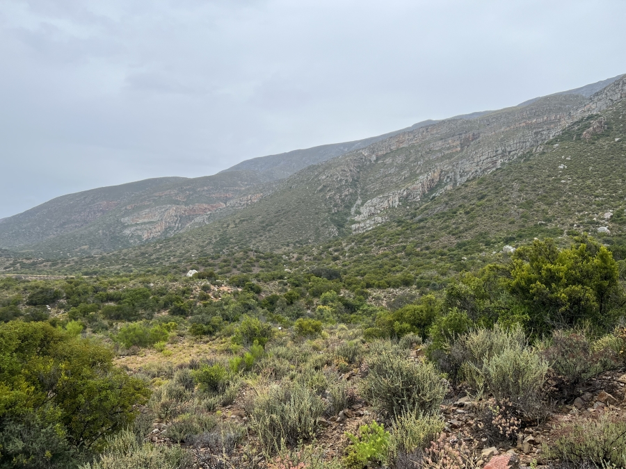 0 Bedroom Property for Sale in Ladismith Western Cape